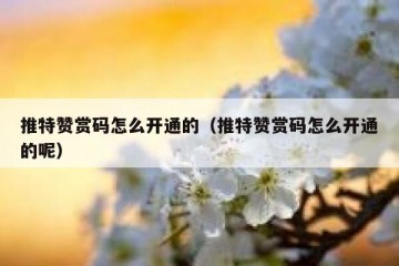 推特赞赏码怎么开通的（推特赞赏码怎么开通的呢）
