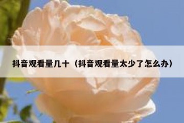 抖音观看量几十（抖音观看量太少了怎么办）