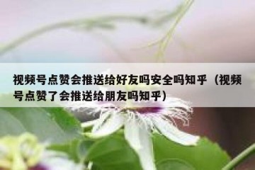 视频号点赞会推送给好友吗安全吗知乎（视频号点赞了会推送给朋友吗知乎）