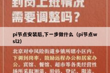 pi节点安装后,下一步做什么（pi节点wsl2）