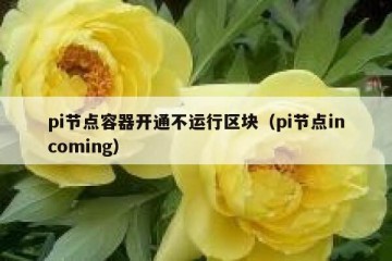 pi节点容器开通不运行区块（pi节点incoming）