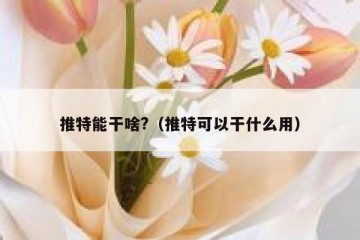 推特能干啥?（推特可以干什么用）