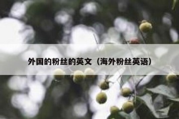 外国的粉丝的英文（海外粉丝英语）