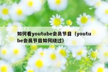 如何看youtube会员节目（youtube会员节目如何绕过）