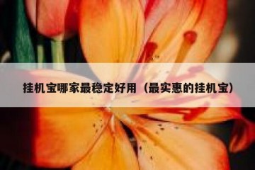 挂机宝哪家最稳定好用（最实惠的挂机宝）