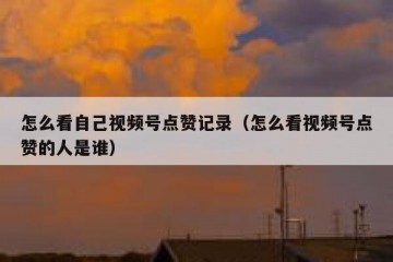 怎么看自己视频号点赞记录（怎么看视频号点赞的人是谁）