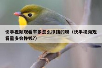 快手视频观看率多怎么挣钱的呀（快手视频观看量多会挣钱?）