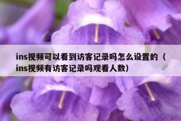 ins视频可以看到访客记录吗怎么设置的（ins视频有访客记录吗观看人数）