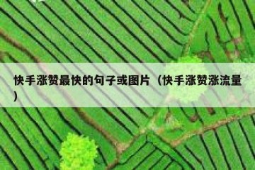 快手涨赞最快的句子或图片（快手涨赞涨流量）