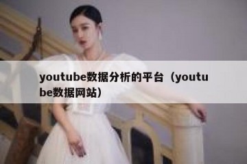 youtube数据分析的平台（youtube数据网站）