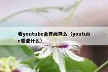 看youtube会有缓存么（youtube看些什么）