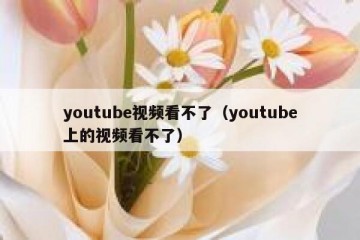 youtube视频看不了（youtube上的视频看不了）