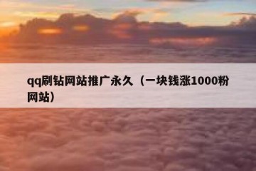 qq刷钻网站推广永久（一块钱涨1000粉网站）