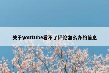 关于youtube看不了评论怎么办的信息