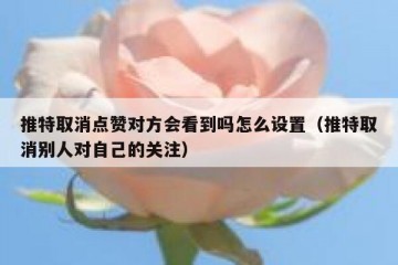 推特取消点赞对方会看到吗怎么设置（推特取消别人对自己的关注）