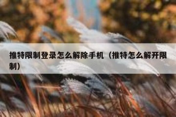 推特限制登录怎么解除手机（推特怎么解开限制）