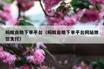蚂蚁自助下单平台（蚂蚁自助下单平台网站微信支付）
