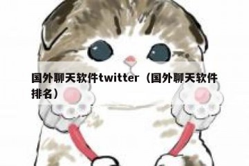 国外聊天软件twitter（国外聊天软件排名）