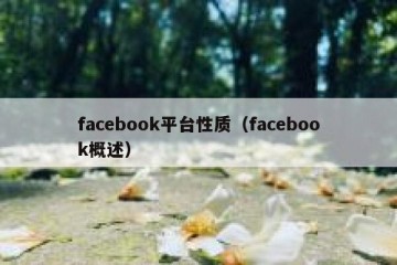facebook平台性质（facebook概述）