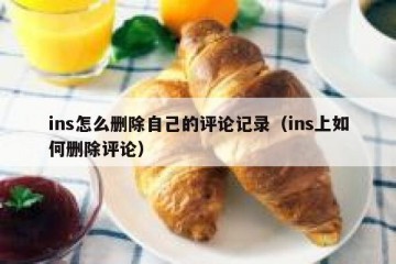 ins怎么删除自己的评论记录（ins上如何删除评论）