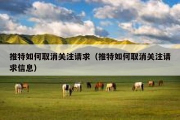 推特如何取消关注请求（推特如何取消关注请求信息）