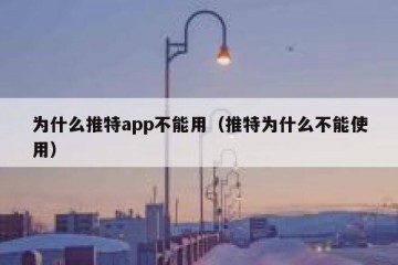 为什么推特app不能用（推特为什么不能使用）