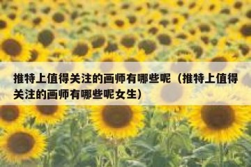 推特上值得关注的画师有哪些呢（推特上值得关注的画师有哪些呢女生）