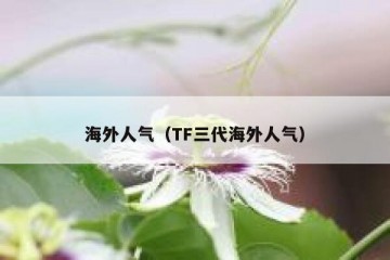 海外人气（TF三代海外人气）