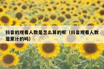 抖音的观看人数是怎么算的呢（抖音观看人数是累计的吗）