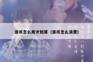 派币怎么用才划算（派币怎么消费）