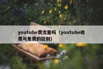 youtube费流量吗（youtube收费与免费的区别）