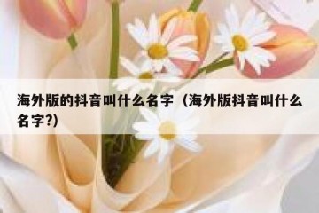 海外版的抖音叫什么名字（海外版抖音叫什么名字?）