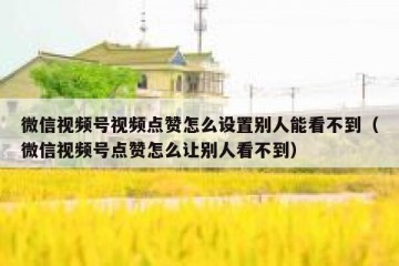 微信视频号视频点赞怎么设置别人能看不到（微信视频号点赞怎么让别人看不到）