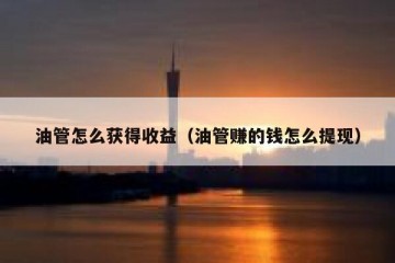 油管怎么获得收益（油管赚的钱怎么提现）