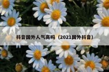 抖音国外人气高吗（2021国外抖音）