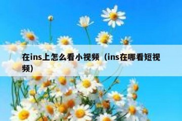 在ins上怎么看小视频（ins在哪看短视频）