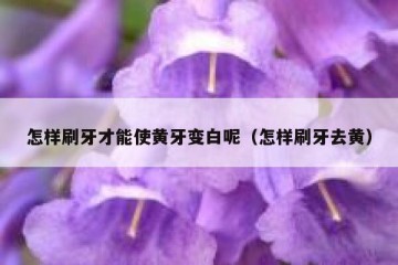 怎样刷牙才能使黄牙变白呢（怎样刷牙去黄）