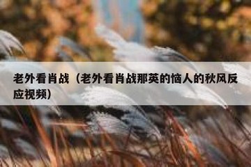 老外看肖战（老外看肖战那英的恼人的秋风反应视频）