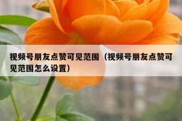 视频号朋友点赞可见范围（视频号朋友点赞可见范围怎么设置）