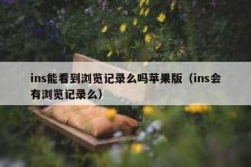 ins能看到浏览记录么吗苹果版（ins会有浏览记录么）
