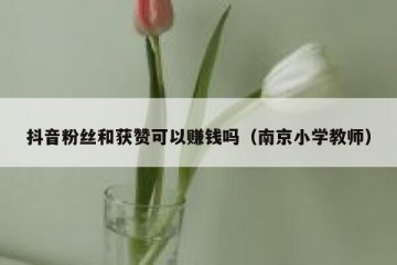 抖音粉丝和获赞可以赚钱吗（南京小学教师）