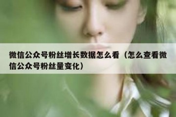 微信公众号粉丝增长数据怎么看（怎么查看微信公众号粉丝量变化）