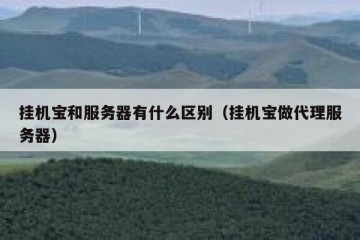 挂机宝和服务器有什么区别（挂机宝做代理服务器）