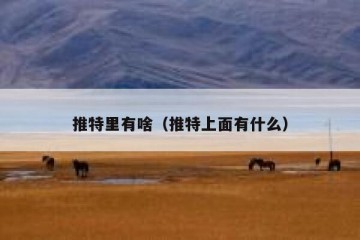 推特里有啥（推特上面有什么）