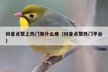 抖音点赞上热门有什么用（抖音点赞热门平台）