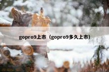 gopro9上市（gopro9多久上市）