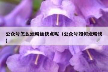 公众号怎么涨粉丝快点呢（公众号如何涨粉快）