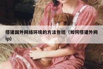搭建国外网络环境的方法包括（如何搭建外网ip）