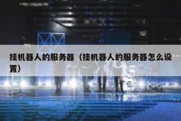 挂机器人的服务器（挂机器人的服务器怎么设置）