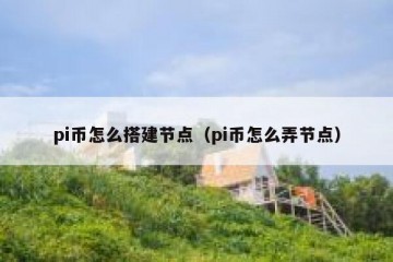 pi币怎么搭建节点（pi币怎么弄节点）